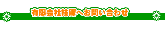 LЋẐւ₢킹